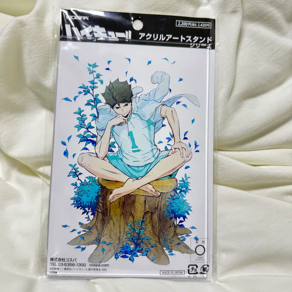 thumbnail-1